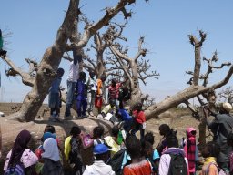 Mission EDUCOBAOBAB - 2013 &raquo; Sortie avec les élèves de Fass dans la forêt de Diamniadio